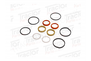 Carraro 707 Front Axle Power Steering Ram Seal Kit For Case International And New Holland 395 495 595 695 795 895 995 3210 3220 3230 4210 4220 4230 4240 MX80C MX90C MX100C CX50 CX60 CX70 CX80 CX90 CX100 1537615C1